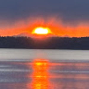 Meet your Posher, The tortured poets department